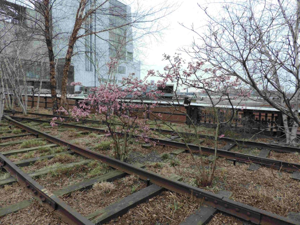 The High Line em NY