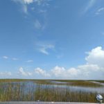 Everglades Passeio de Barco